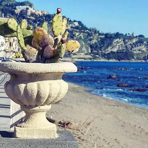 https://le-conchiglie-di-venere-venus.sicilyhotelsitaly.net